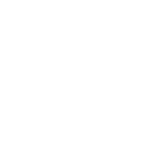 Dumpster Rental Springfield MA - Logo white
