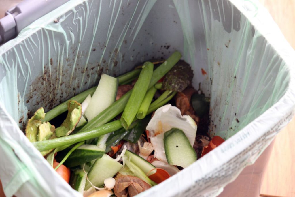 Gathering all meal wastes - Springfield MA Dumpster Rentals