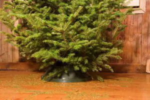 DIY Christmas Tree Recycling Holyoke, MA - Springfield MA Dumpster Rentals
