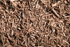 Mulching and composting East Longmeadow - Springfield MA Dumpster Rentals